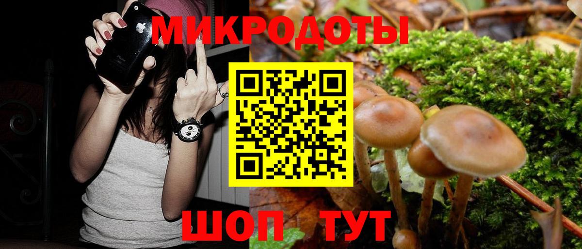где найти   Вход с VPN  Алушта  Псилоцибиновые грибы прущие грибы 